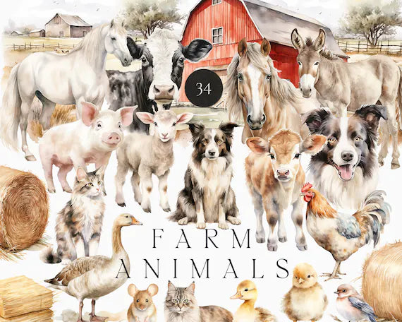 Chicken, Ducks, Horse Farm Collections
