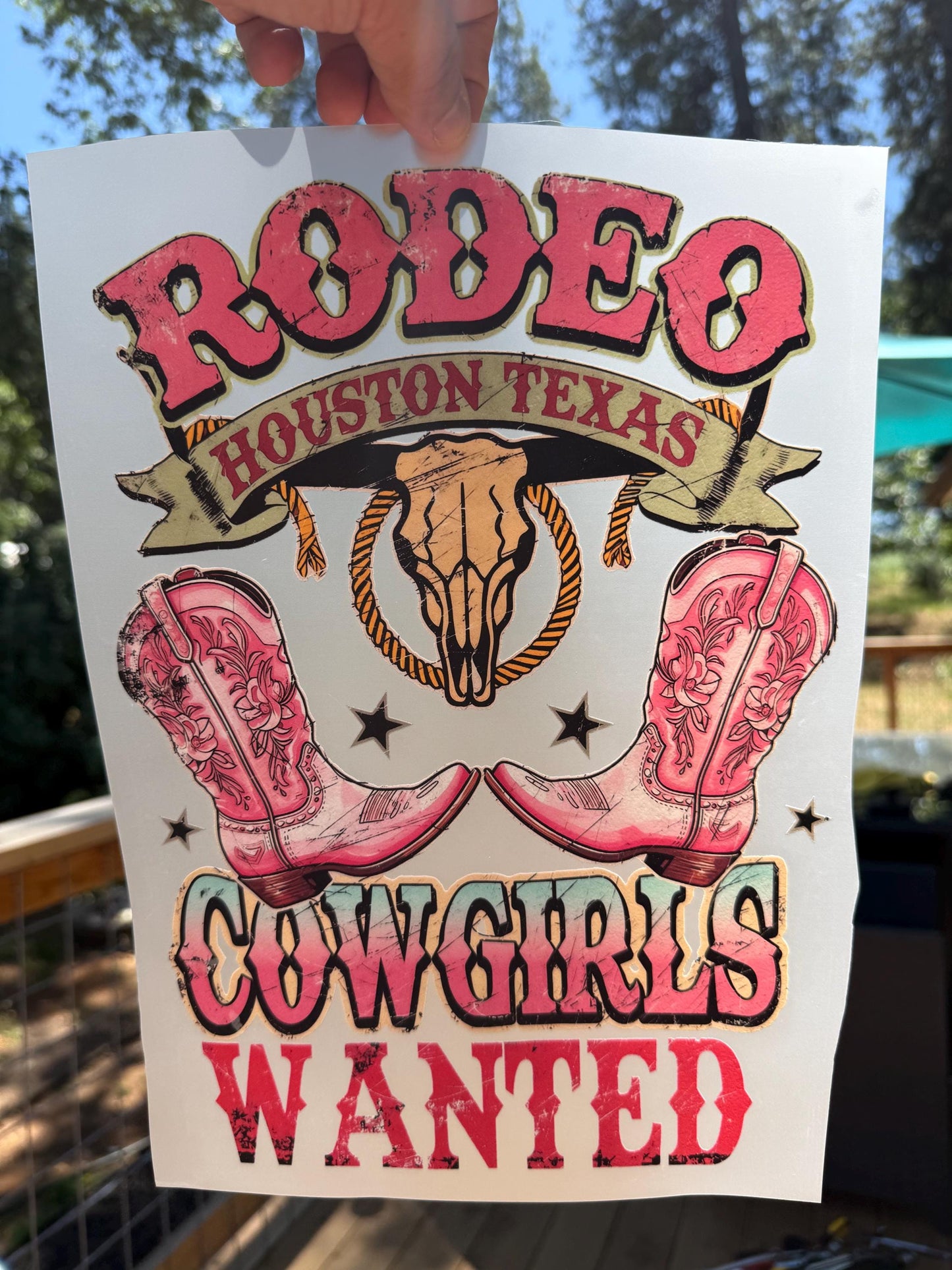 Rodeo Houston Texas Cowgirls Wanted DTF Transfer – Ready to Press Heat Transfer